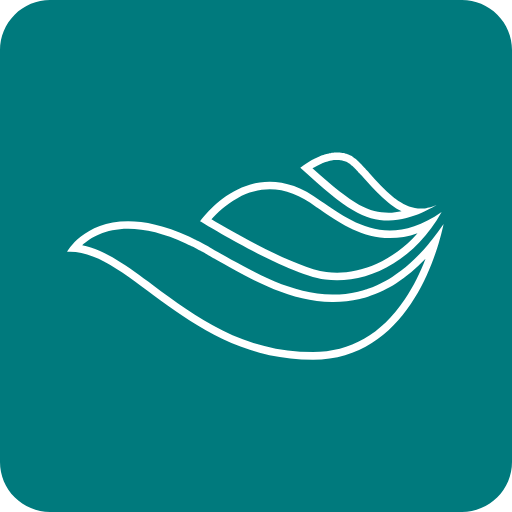 Logo de l'offre de logiciels de mécanique des fluides ANSYS distribué par DYNAS+